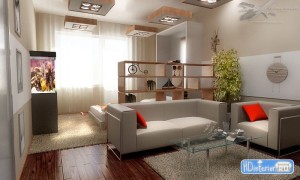 living_room_ceiling_design_photo_010